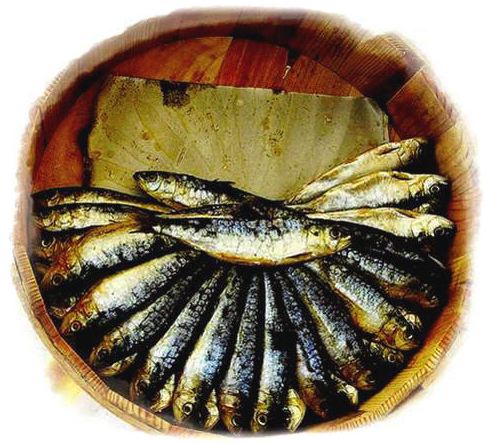 A sardina casco